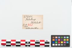 Etiketten zu Bronzebeschlagblech (NHMW-PRAE-025095)
